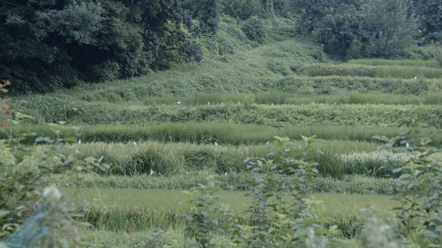 フェローズ活動情報　永田康祐（2025年7月～）