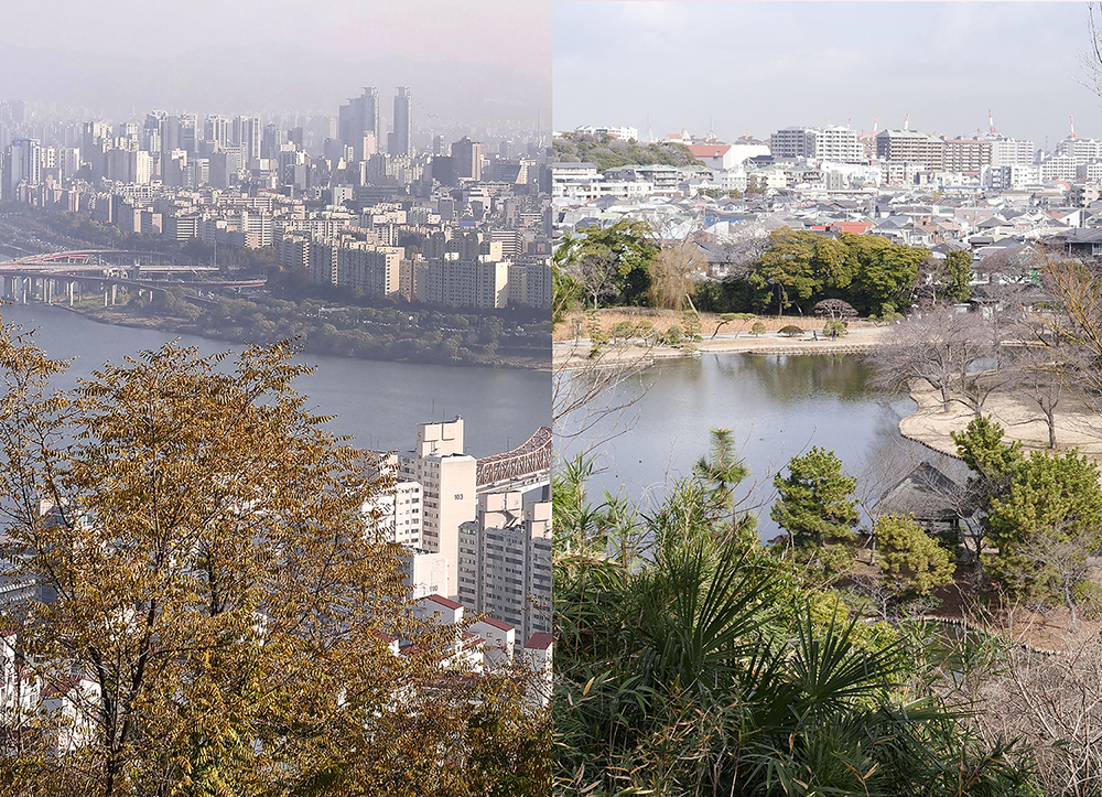 アーティスト・フェロー活動情報　鎌田友介