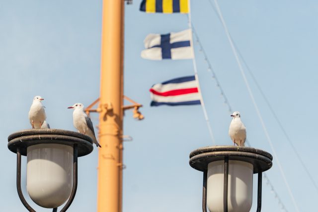 ACY noteを始めました