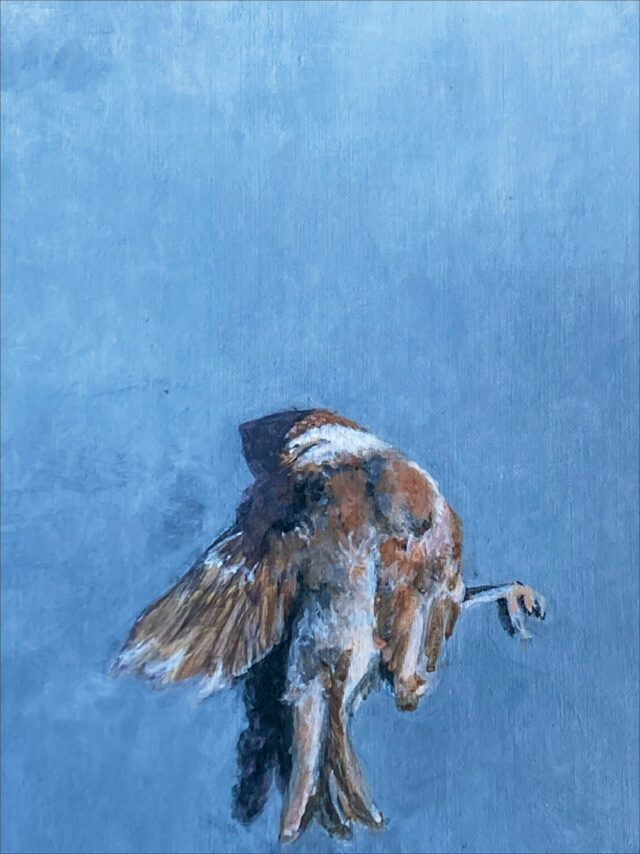 山岡瑞子 展覧会「Extrication－喪失と歩みの気配－」