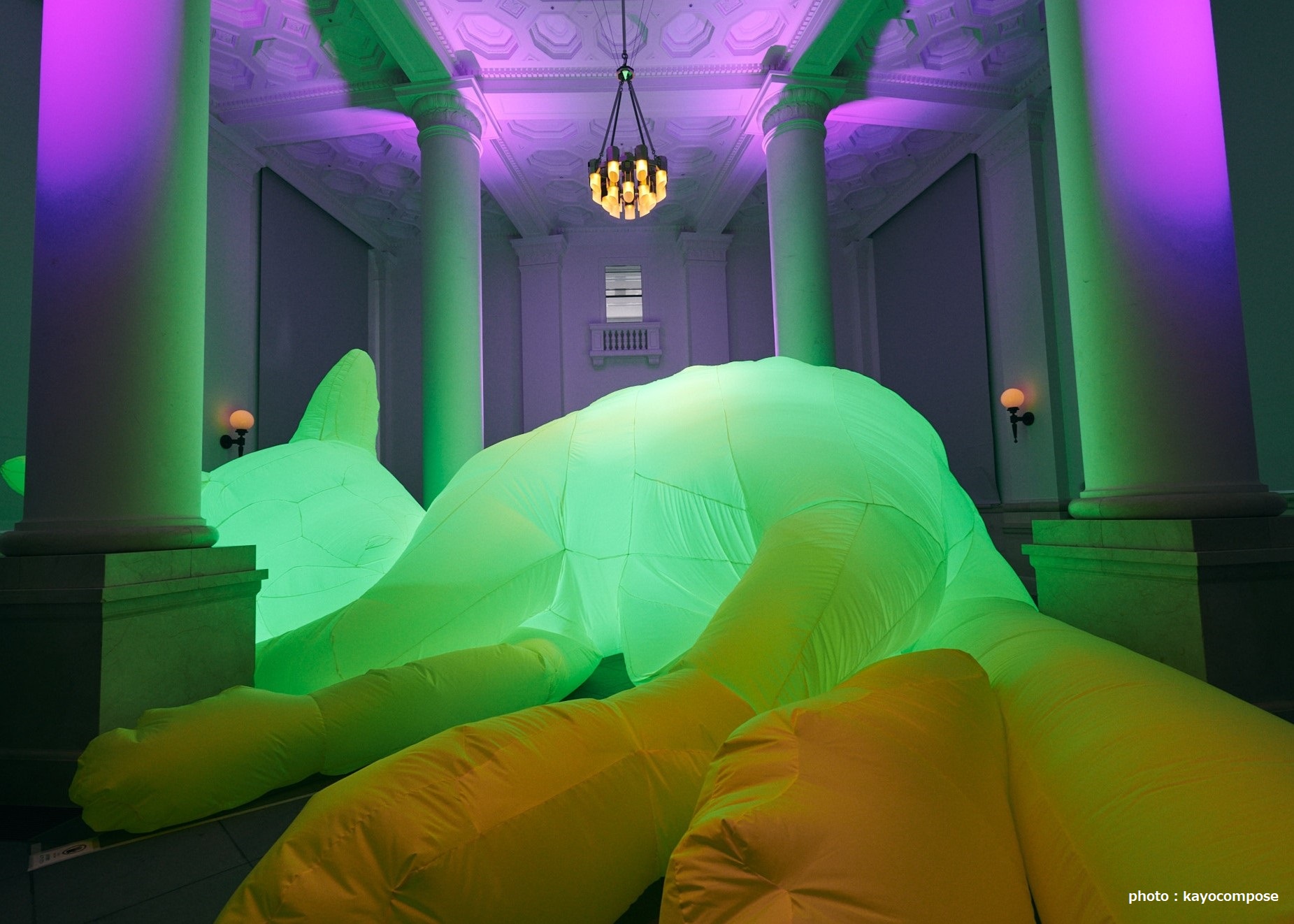 〜YOKOHAMA ART in Summer〜「ミナトノアート＋」開催