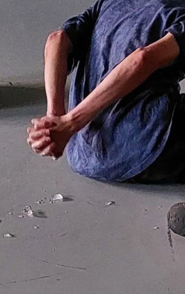 フェローズ活動情報　敷地理（2025年12月）