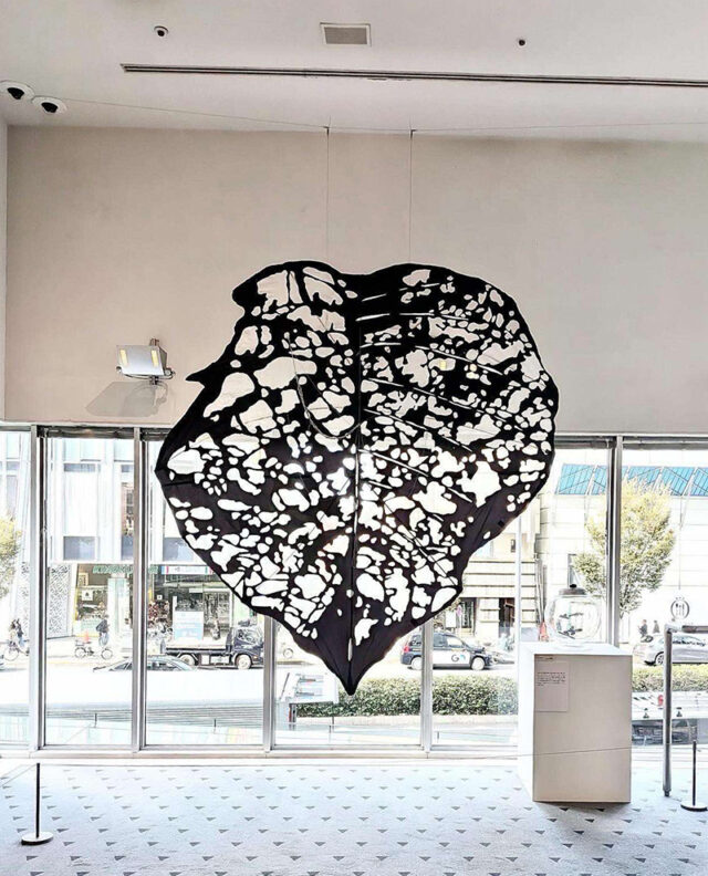 フェローズ活動情報　安田葉（2025年11月）