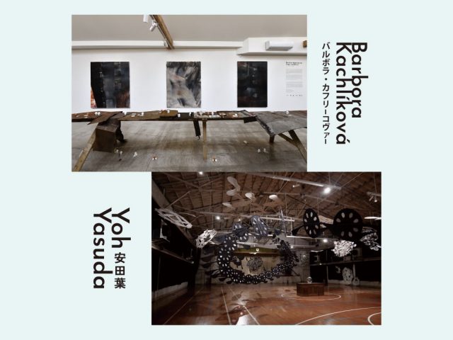 フェローズ活動情報　安田葉（2025年9月～）